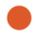 Orange dot icon